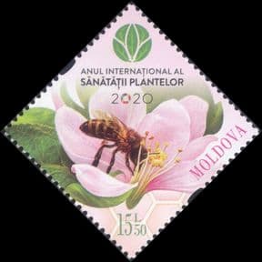 Moldova 2020  Honey Bees/ Beekeeping/ Insects/ Nature/ Conservation/ Environment  1v  (n46407a)