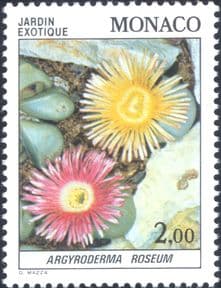 Monaco 1983  Flowers/ Exotic Plants/ Nature/ Succulents/ Living Stones  1v  (n40579)