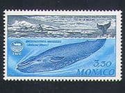 Monaco 1983 Whales / Marine / Nature / Conservation / Protection 1v (n33513)