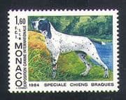 Monaco 1984 Auvergne Pointer / Dogs / Animals / Nature / Pets 1v (n35024)