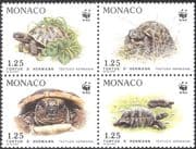 Monaco 1991 WWF/ Tortoise/ Animals/ Nature/ Wildlife/ Conservation 4v blk (n33797)