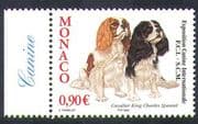 Monaco 2004 Spaniels/ Dogs/ Dog Show/ Animals/ Pets/ Nature 1v n38317