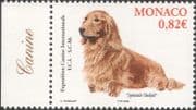 Monaco 2005 Dachshund/ Dog Show/ Dogs/ Animals/ Nature/ Pets 1v (n37093)