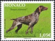 Monaco 2015 Dog Show/ German Pointer/ Dogs/ Animals/ Nature/ Pets 1v (mc1077)