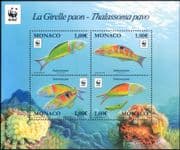 Monaco 2016 WWF/ Ornate Wrasse/ Fish/ Marine/ Nature/ Conservation 4v m/s (mc1066)