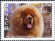 Monaco 2019 Tibetan Mastiff/ Dogs/ Dog Show/ Pets/ Nature/ Animals 1v (mc1204)