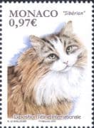 Monaco 2020 International Cat Show/ Nature/ Animals/ Pets/ Siberian Longhair/ Cats 1v (mc1224)