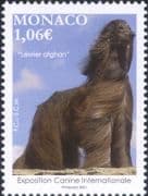 Monaco 2021 Afghan Hound/ Dogs/ Dog Show/ Nature/ Animals/ Pets 1v (mc1240)