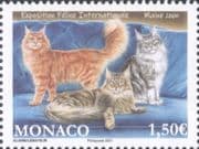 Monaco 2021 International Cat Show/ Nature/ Animals/ Pets/ Cats 1v (mc1268)