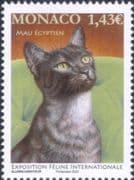Monaco 2022 International Cat Show/ Nature/ Animals/ Pets/ Cats 1v (mc1325)