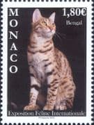 Monaco 2023 International Cat Show/ Nature/ Animals/ Pets/ Cats 1v (mc1377)