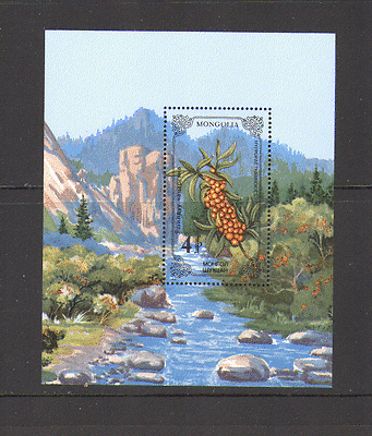 Mongolia 1985 FLOWERS / Plants / Nature 1v m / s (n15612)