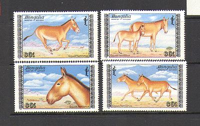 Mongolia 1988 Wild Ass / Animals / Horses 4v set (n15621)