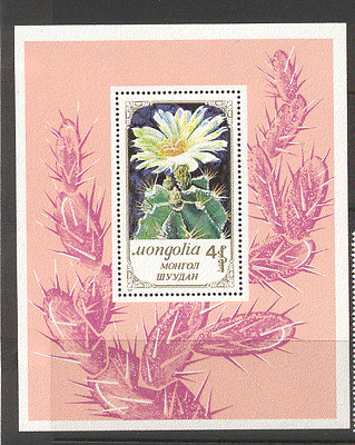 Mongolia 1989 CACTUS / Cacti / Nature / Plants m / s n12176