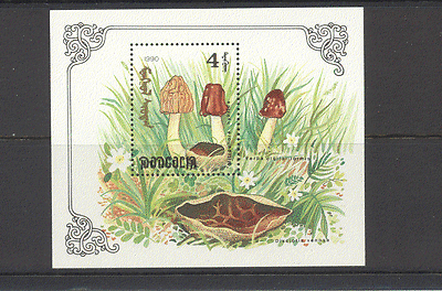 Mongolia 1991 Fungi / Mushrooms m / s ref:n11634