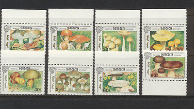 Mongolia 1991 FUNGI / Mushrooms / Nature / Plants 8v set (n11635)