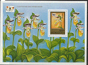Mongolia 1997 Orchids / Butterflies m / s ref:b5024