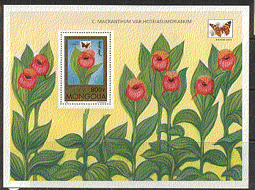 Mongolia 1997 Orchids / Butterflies m / s ref:b5027