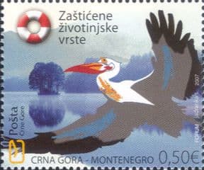 Montenegro 2007  Pelican/ Birds/ Nature Protection/ Wetland Wildlife  1v  (me1011)