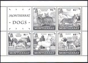 Montserrat 1999 Spaniel/ Poodle/ Beagle/ Corgi/ Dogs/ Pets/ Animals/ Nature m/s n41094