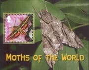 Montserrat 2006 Moths/ Butterflies/ Insects/ Nature/ Wildlife 1v m/s (s2367x)