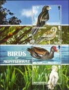 Montserrat 2009 Egret/ Kestrel/ Moorhen/ Ani/ Birds/ Nature/ Wildlife 4v m/s (b8504e)