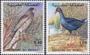 Morocco 1976 Goshawk/ Purple Swamphen/ Birds/ Nature/ Wildlife/ Raptors 2v set (b9771h)