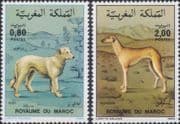 Morocco 1984 Sloughi/ Aidi/ Working Dogs/ Pets/ Animals/ Nature 2v set (b3709t)