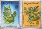 Morocco 1988 Bitter Apple/ Sodom Apple/ Flowers/ Plants/ Nature/ Apples/ Fruit 2v set (n45067y)