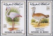 Morocco 1988 Greater Flamingo/ Great Bustard/ Birds/ Nature/ Wildlife 2v set (n45067x)