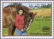 Morocco 1988 Horse Week/ Horses/ Nature/ Animals/ Sport/ Pets 1v (n46494)