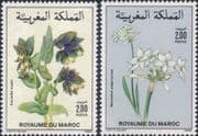 Morocco 1988 Narcissus/ Honeywort/ Flowers/ Plants/ Nature 2v set (n45067z)