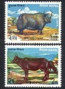 Nepal 1973 Cow / Yak / Cattle / Domestic Animals / Nature / Farming 2v set (n38834)