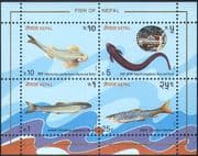 Nepal 1993 Mahseer / Loach / Eel / Fish / Nature / Wildlife / Conservation 4v m / s (b5523)