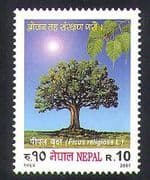 Nepal 2001 Pipal Tree / Trees / Plants / Nature / Fig / Food 1v (n37199)