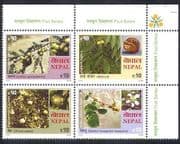Nepal 2005 Apple / Raspberry / Walnut / Fruit / Flowers / Plants / Nature 4v blk (n38814)