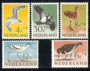 Netherlands 1961 Gulls/ Curlew/ Avocet/ Birds/ Nature/ Welfare/ Health 5v set (n29797)