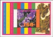 Netherlands 1996 Spring Flowers/ Crocuses/ Plants/ Nature 1v m/s (n29743g)