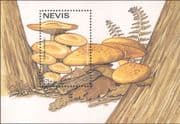 Nevis 1997 Fungi/ Mushrooms of the World/ Plants/ Nature 1v m/s (b7735m)