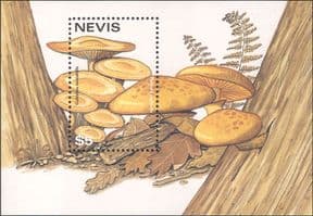Nevis 1997  Fungi/ Mushrooms of the World/ Plants/ Nature  1v m/s  (b7735m)