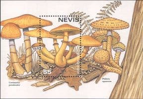 Nevis 1997  Fungi/ Mushrooms of the World/ Plants/ Nature  1v m/s  (b7735n)