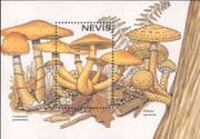 Nevis 1997 Fungi/ Mushrooms of the World/ Plants/ Nature 1v m/s (b7735n)