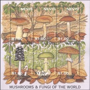 Nevis 1997  Fungi/ Mushrooms of the World/ Plants/ Nature  6v sht  (b7735k)