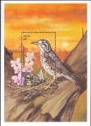 Nevis 1999 Ground-scraper Thrush/ Birds/ Songbirds/ Nature/ Wildlife 1v m/s (b5069x)