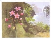 Nevis 1999 Orchids/ Nature/ Flowers/ Plants 1v m/s (s3491m)
