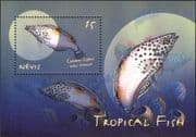 Nevis 2000 Clown Coris/ Wrasse/ Tropical Fish/ Marine/ Nature 1v m/s (b7835k)