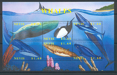 Nevis 2002 Whales / Marine / Sealife 6v sht ref:s1162