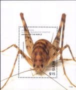 Nevis 2017 Cave Cricket/ Insects/ Nature/ Wildlife/ Conservation 1v m/s (b3356s)
