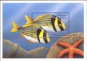 Nicaragua 1998 Porkfish/ Fish/ Marine/ Tropical/ Wildlife/ Nature 1v m/s (b6745j)