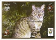 Niger 1998 Domestic Cats/ Pets/ Animals/ Nature/ Scouts/ StampEx 1v m/s (b5359)